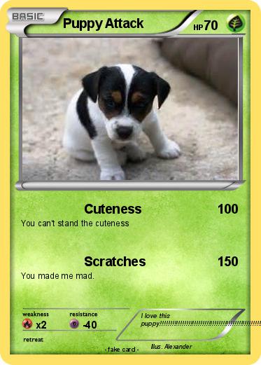Pokemon Puppy Attack