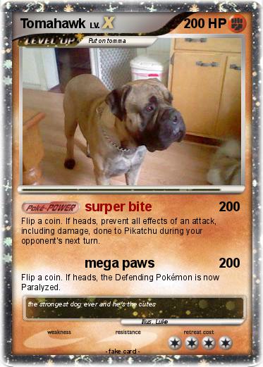Pokemon Tomahawk