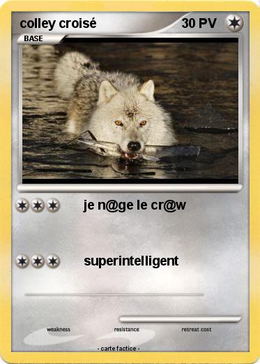 Pokemon colley croisé