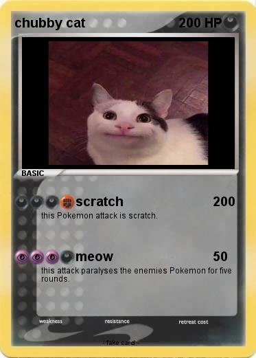 Pokemon chubby cat