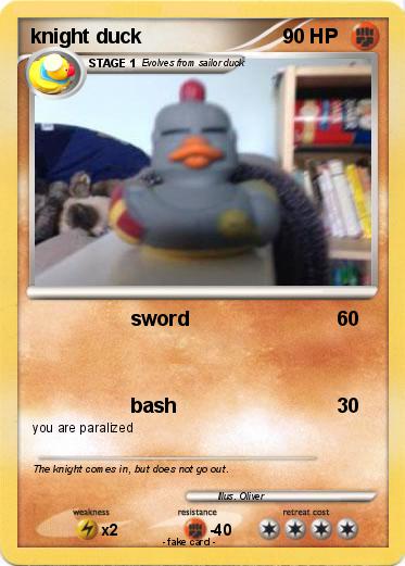 Pokemon knight duck