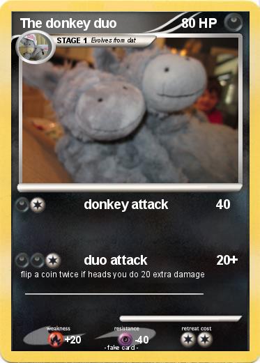 Pokemon The donkey duo