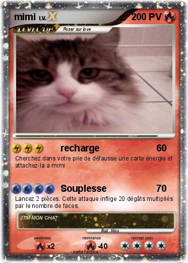 Pokemon mimi