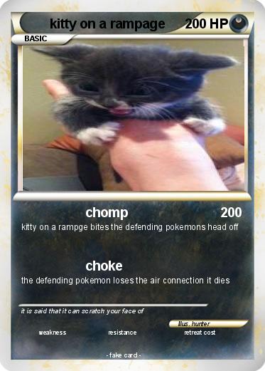 Pokemon kitty on a rampage