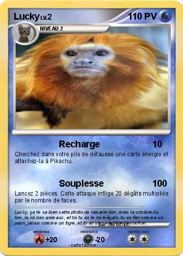 Pokemon Lucky
