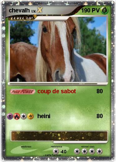 Pokemon chevalh