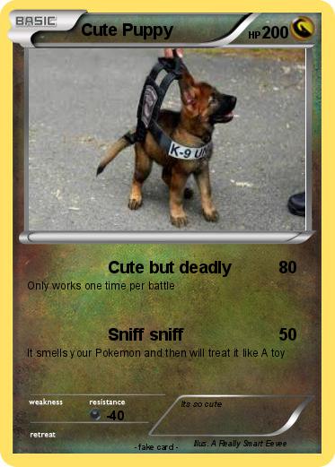 Pokemon Cute Puppy
