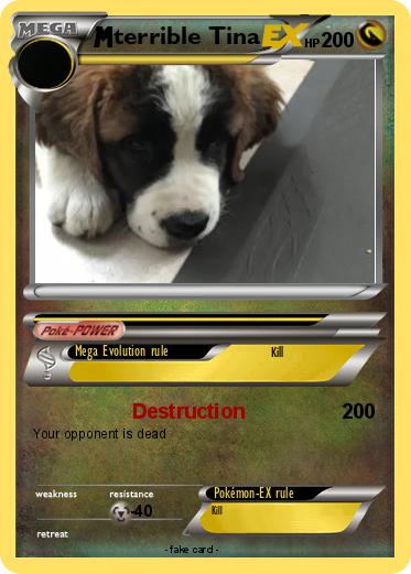 Pokemon terrible Tina