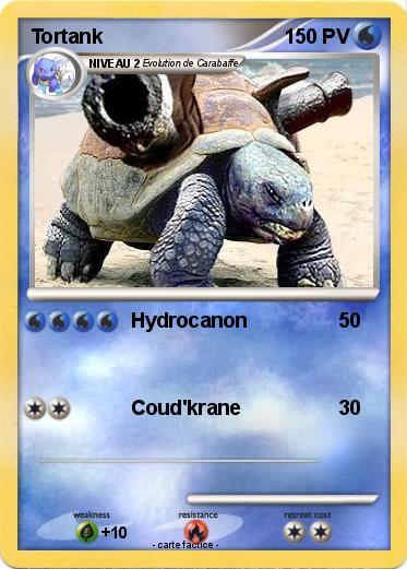 Pokemon Tortank