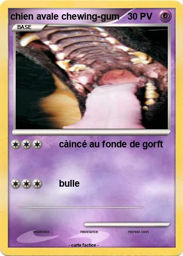 Pokemon chien avale chewing-gum