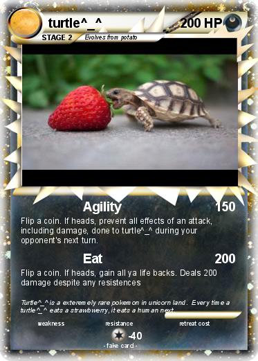 Pokemon turtle^_^
