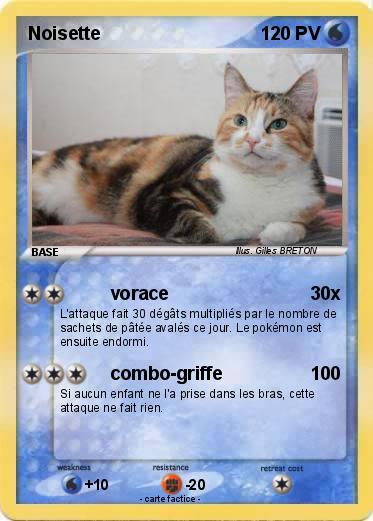 Pokemon Noisette