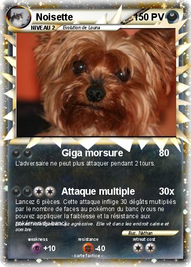 Pokemon Noisette