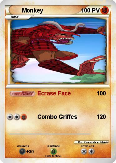 Pokemon Monkey