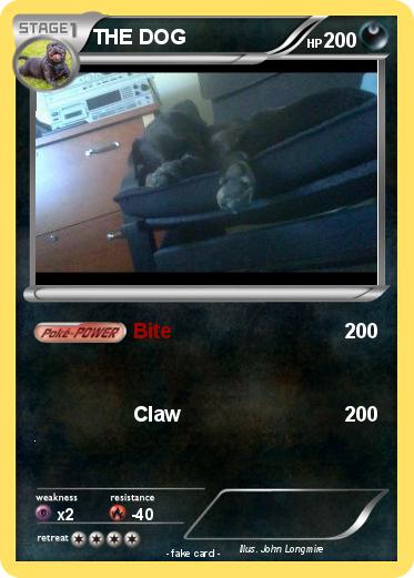 Pokemon THE DOG