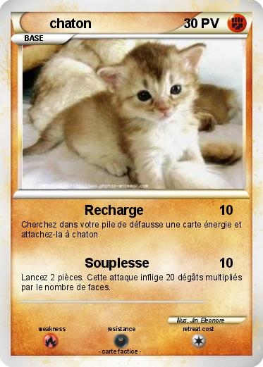 Pokemon chaton