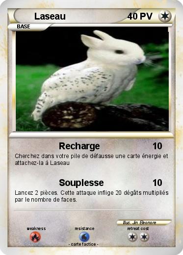 Pokemon Laseau