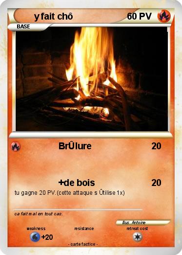 Pokemon y fait chô