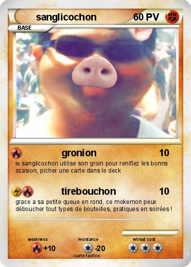 Pokemon sanglicochon