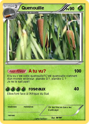 Pokemon Quenouille