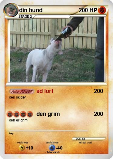 Pokemon din hund