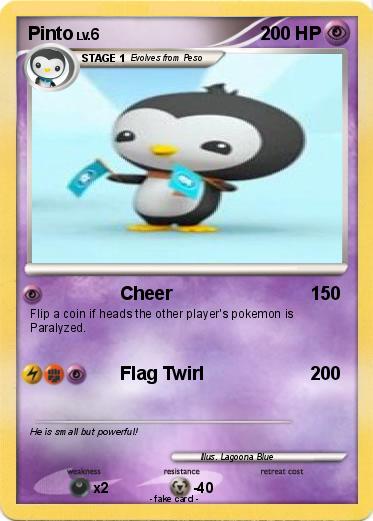Pokemon Pinto
