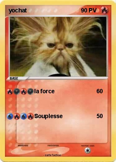 Pokemon yochat