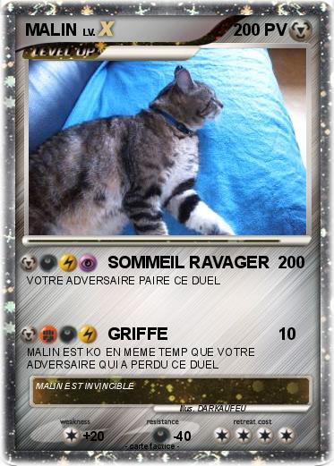 Pokemon MALIN