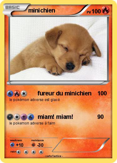 Pokemon minichien