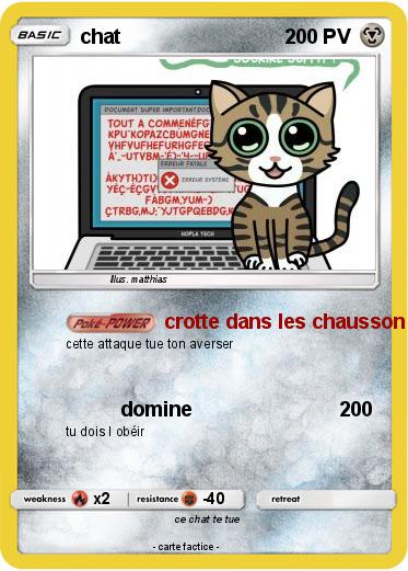 Pokemon chat