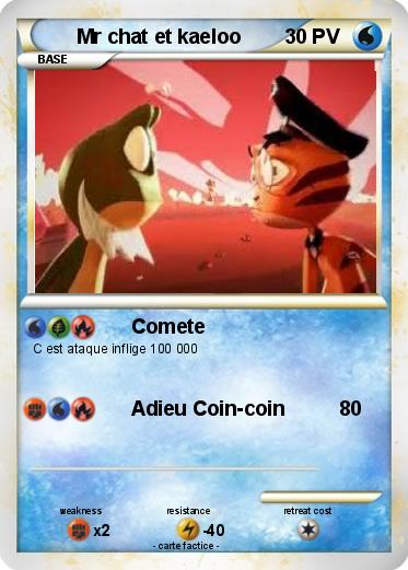 Pokemon Mr chat et kaeloo