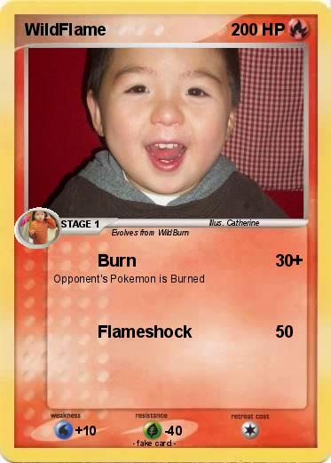 Pokemon WildFlame