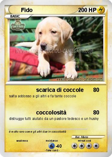 Pokemon Fido