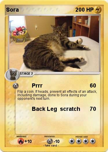 Pokemon Sora