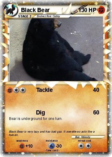 Pokemon Black Bear