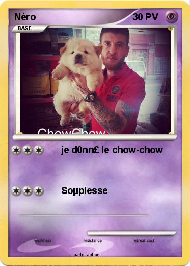 Pokemon Néro