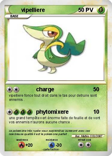 Pokemon vipelliere