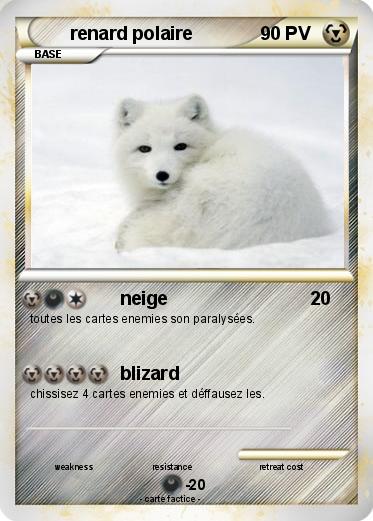 Pokemon renard polaire