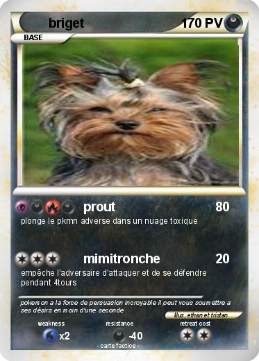 Pokemon briget