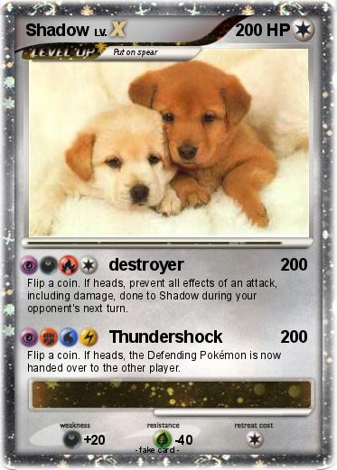 Pokemon Shadow