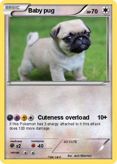 Pokemon Baby pug