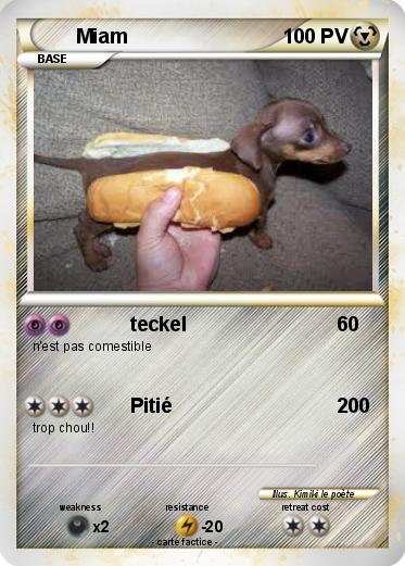 Pokemon Miam