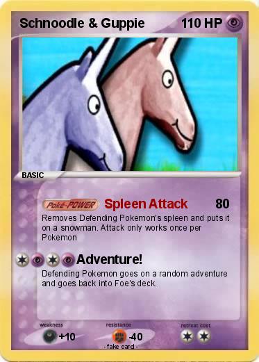 Pokemon Schnoodle & Guppie