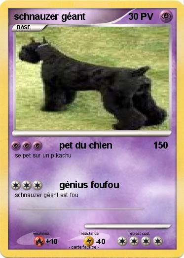Pokemon schnauzer géant