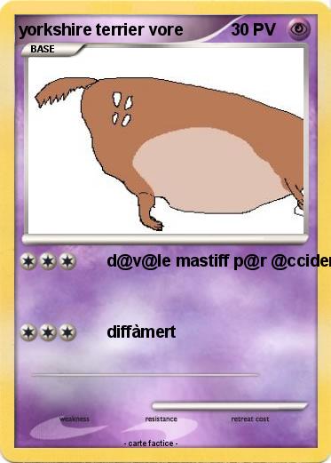 Pokemon yorkshire terrier vore
