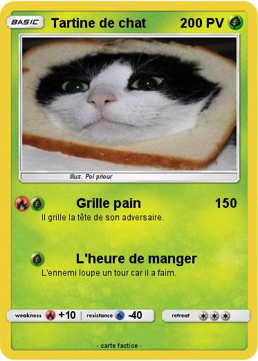 Pokemon Tartine de chat