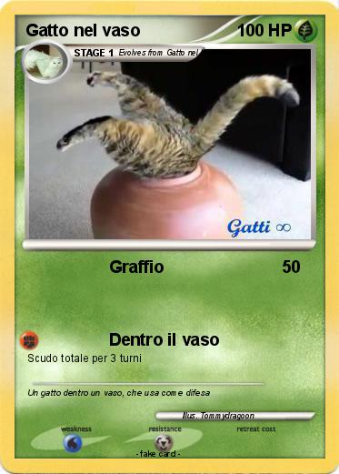Pokemon Gatto nel vaso