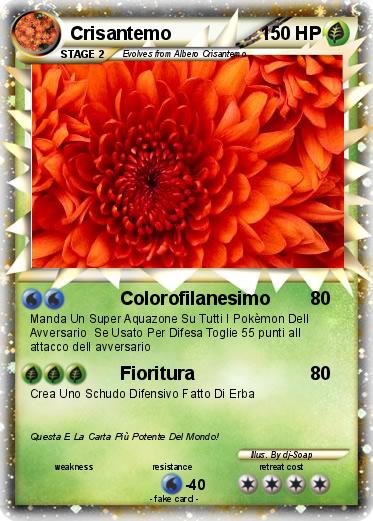 Pokemon Crisantemo