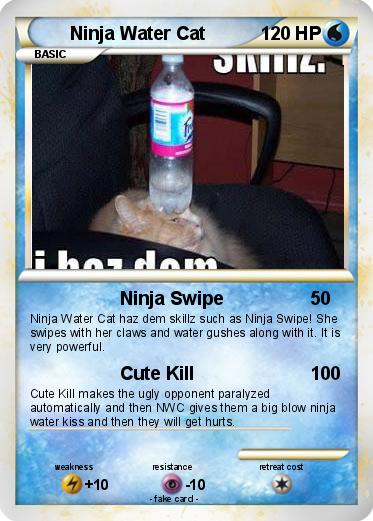 Pokemon Ninja Water Cat