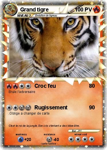 Pokemon Grand tigre